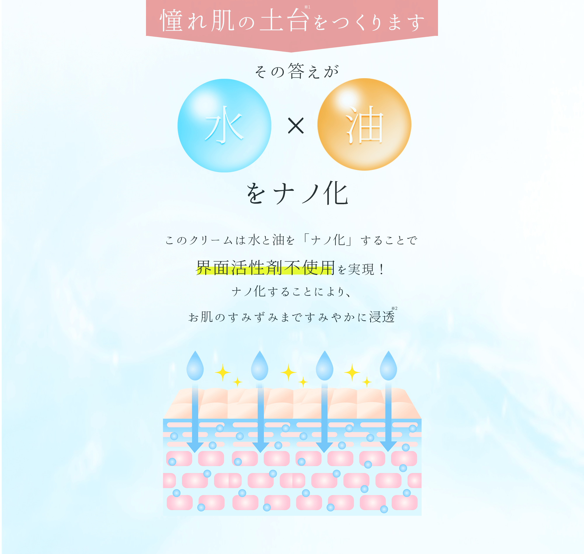 憧れの肌の土台をつくります