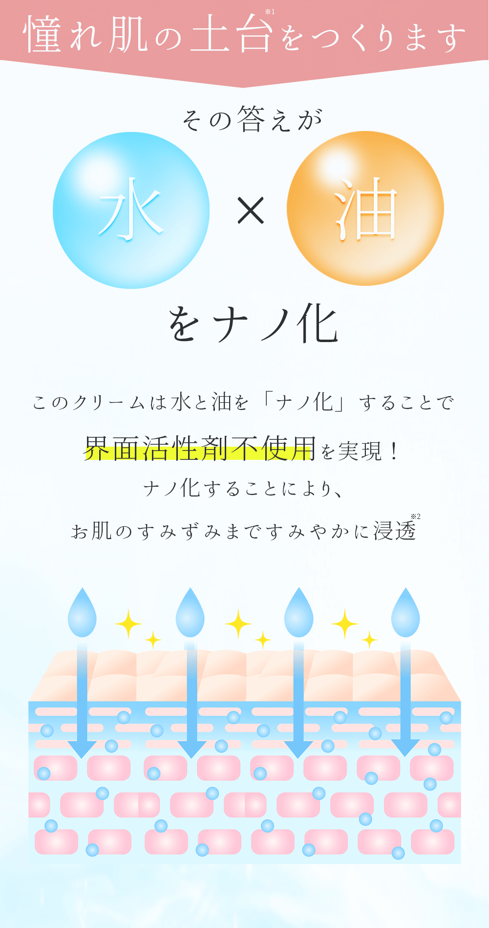 憧れの肌の土台をつくります